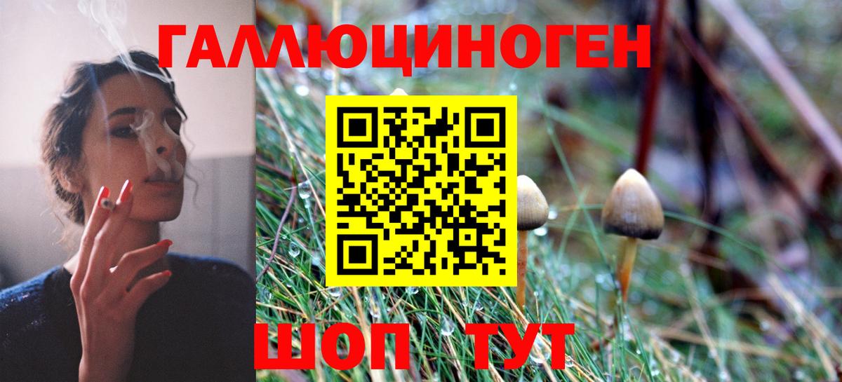 Галлюциногенные грибы MAGIC MUSHROOMS Саранск